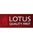 Lotus DPM Especialidades Comprar Estufa de Leña e Insertables Lotus